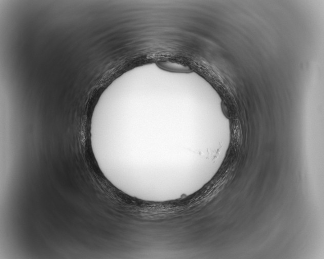 X0000095911012200801251005