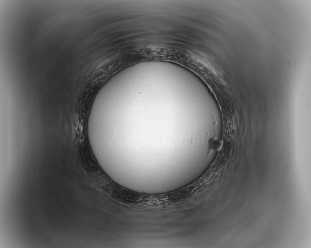 X0000095911013200801251005