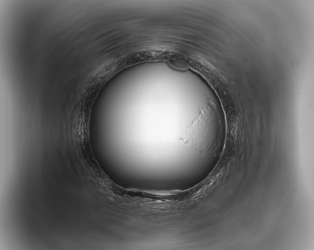 X0000095911014200801251005