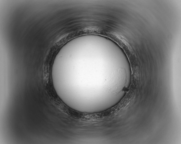 X0000095911015200801251005