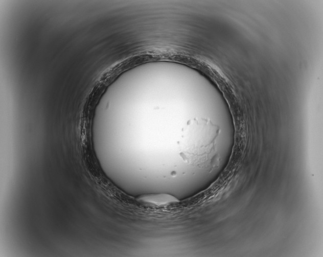 X0000095911016200801251005