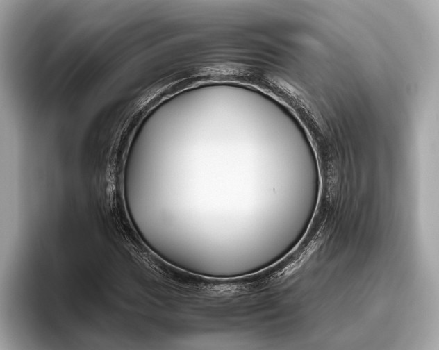 X0000095911017200801251005