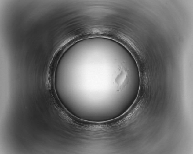 X0000095911018200801251005