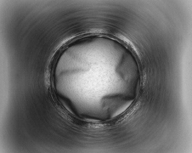 X0000095911019200801251005