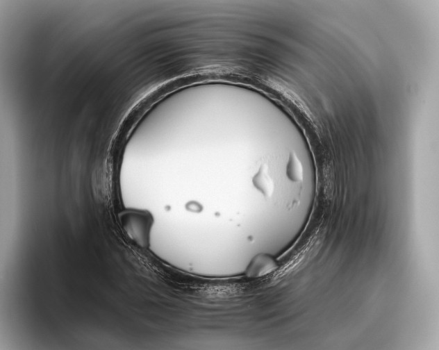 X0000095911021200801251005