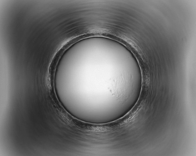 X0000095911022200801251005