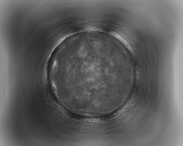 X0000095911023200801251005