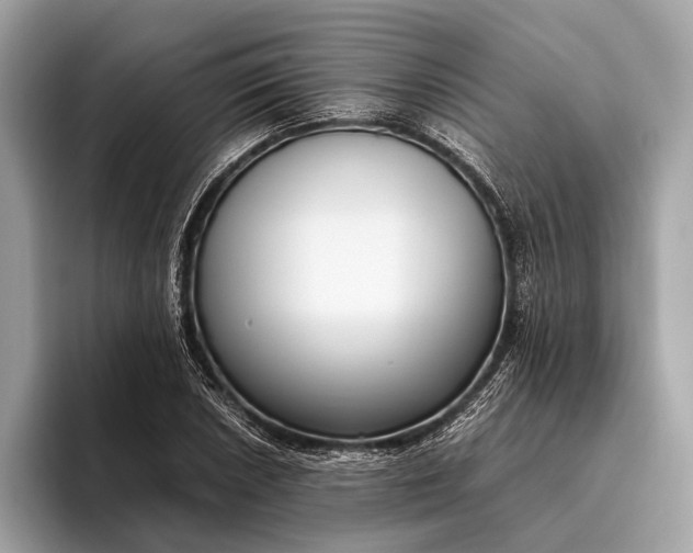 X0000095911026200801251006