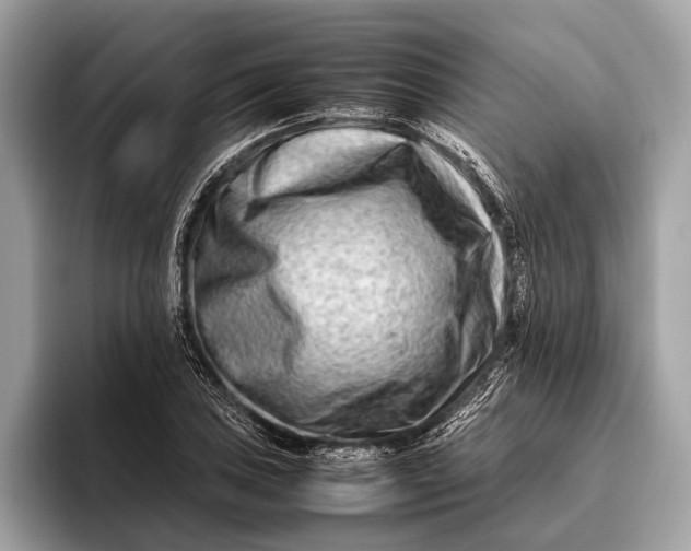 X0000095911027200801251006