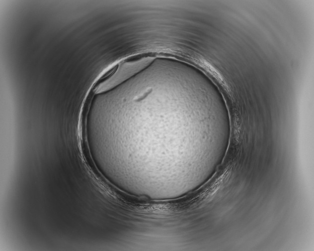 X0000095911028200801251006