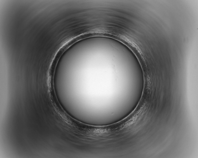 X0000095911029200801251006