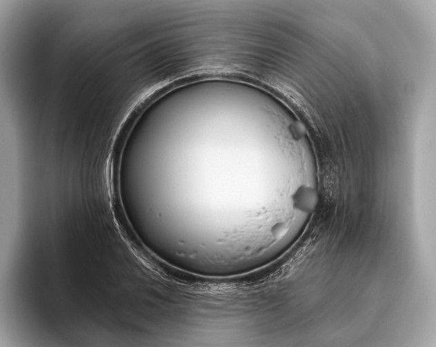 X0000095911030200801251006