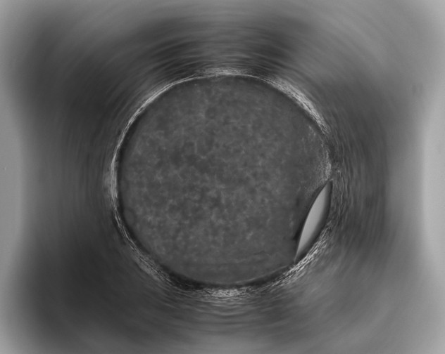 X0000095911031200801251006