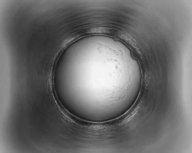 X0000095911033200801251006