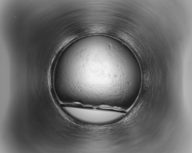 X0000095911034200801251006