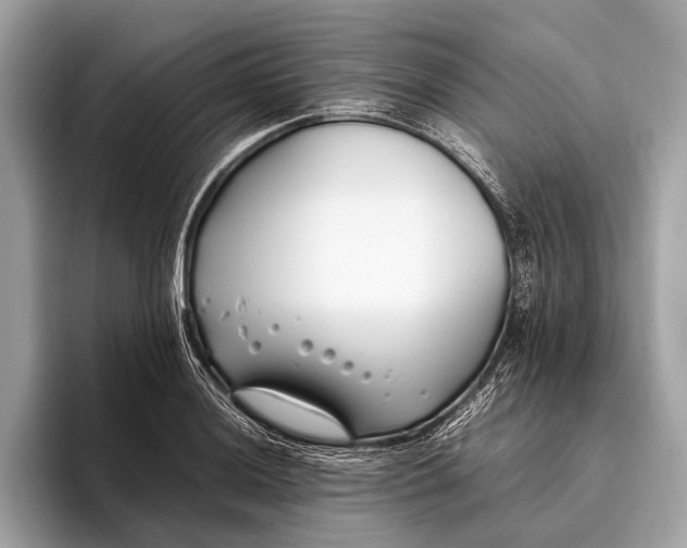 X0000095911036200801251006