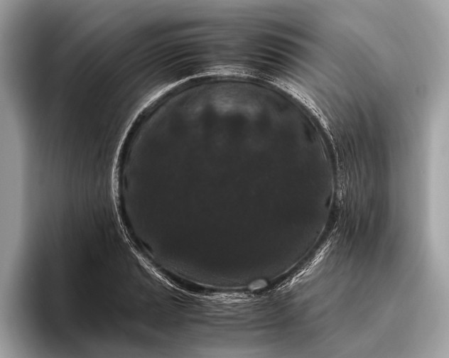 X0000095911037200801251006