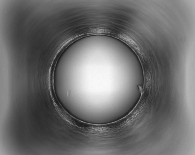 X0000095911039200801251006