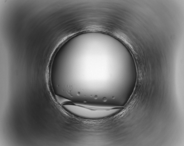 X0000095911040200801251006