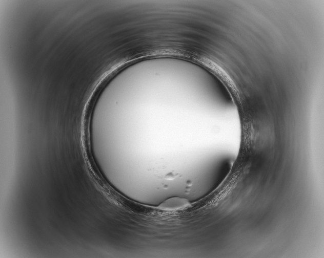 X0000095911043200801251006