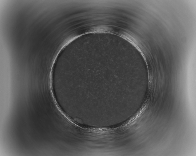 X0000095911045200801251006