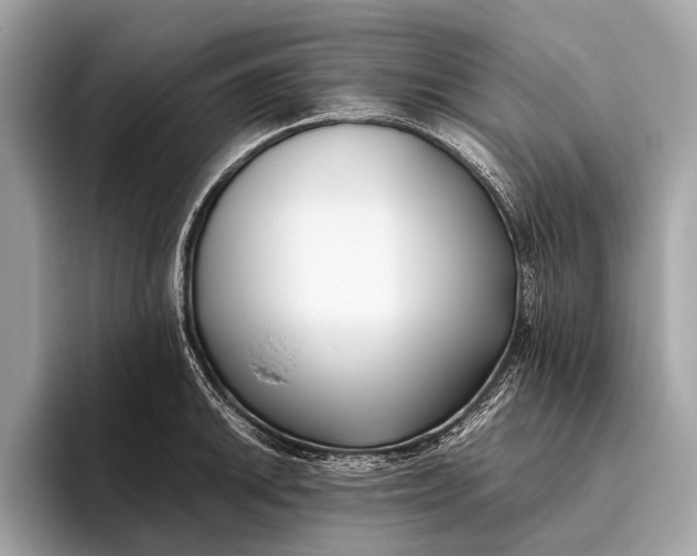 X0000095911046200801251006