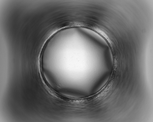 X0000095911047200801251006