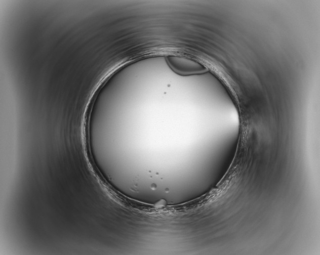 X0000095911050200801251006