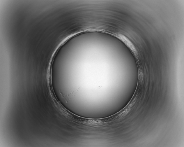 X0000095911052200801251006