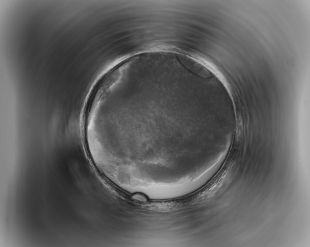 X0000095911053200801251006