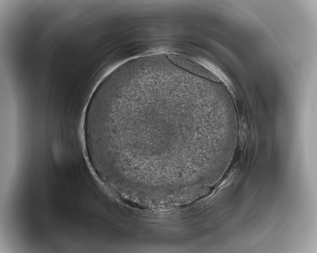 X0000095911055200801251006