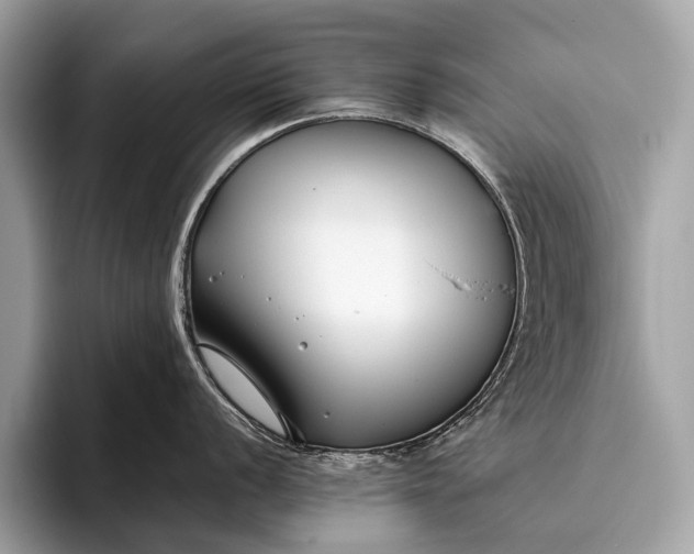 X0000095911056200801251006