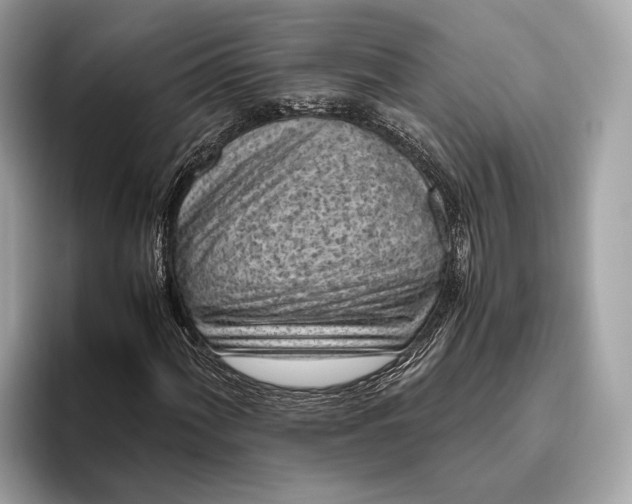 X0000095911060200801251005