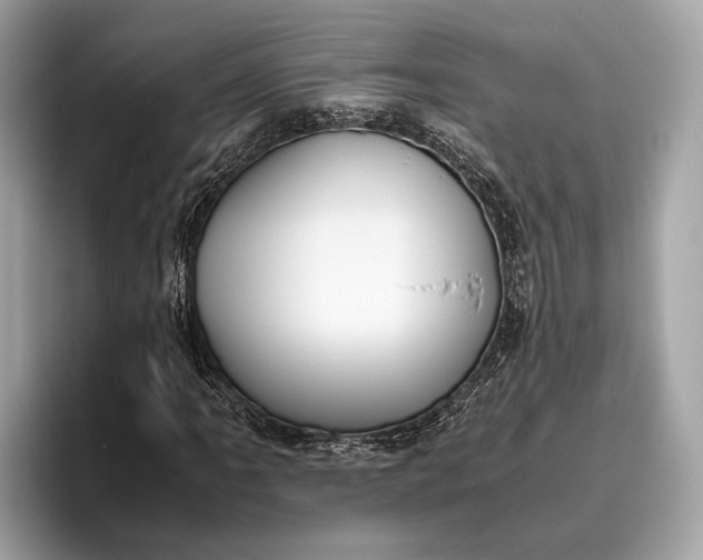 X0000095911061200801251005