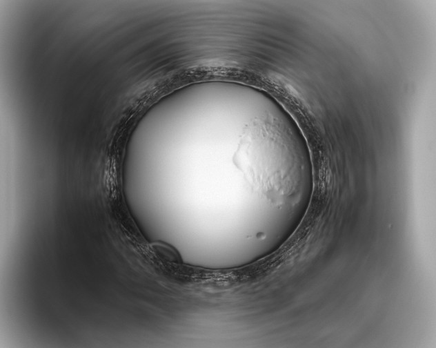 X0000095911062200801251005