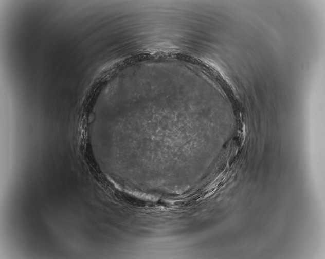 X0000095911063200801251005