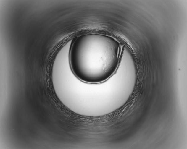 X0000095911064200801251005