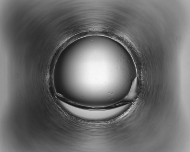 X0000095911065200801251005