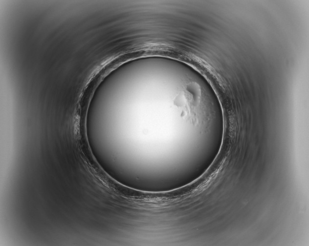 X0000095911066200801251005