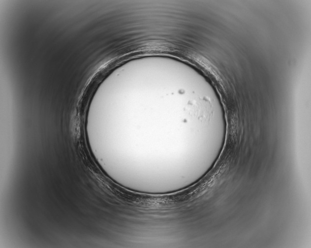 X0000095911067200801251005