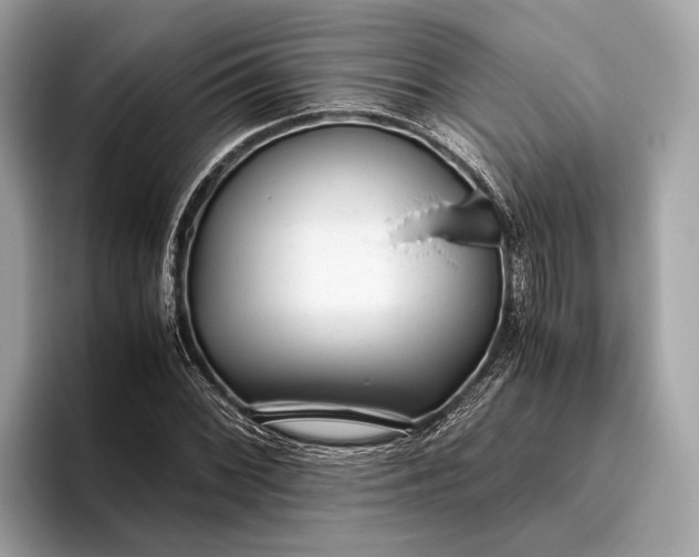 X0000095911068200801251005