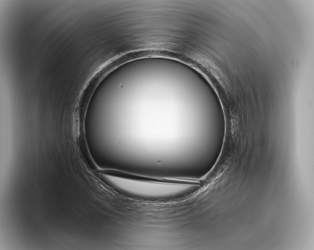 X0000095911069200801251005