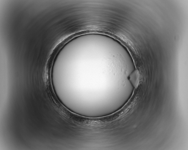 X0000095911070200801251005