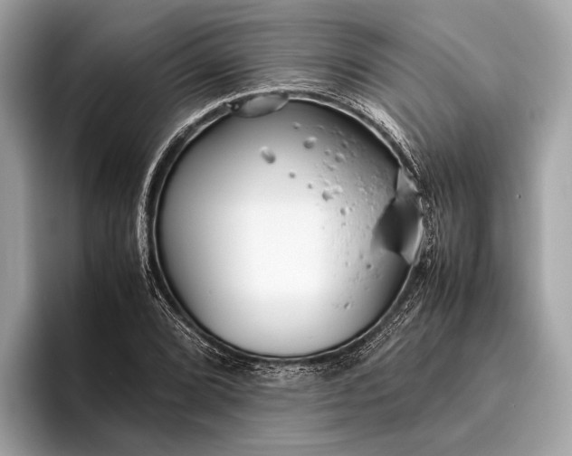 X0000095911072200801251005