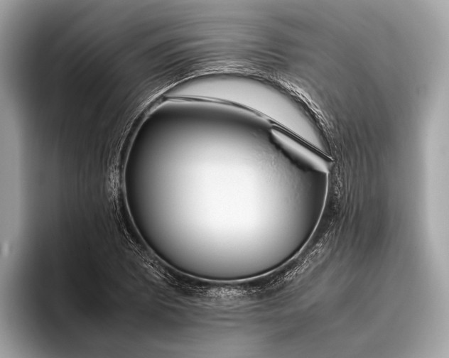 X0000095911073200801251005