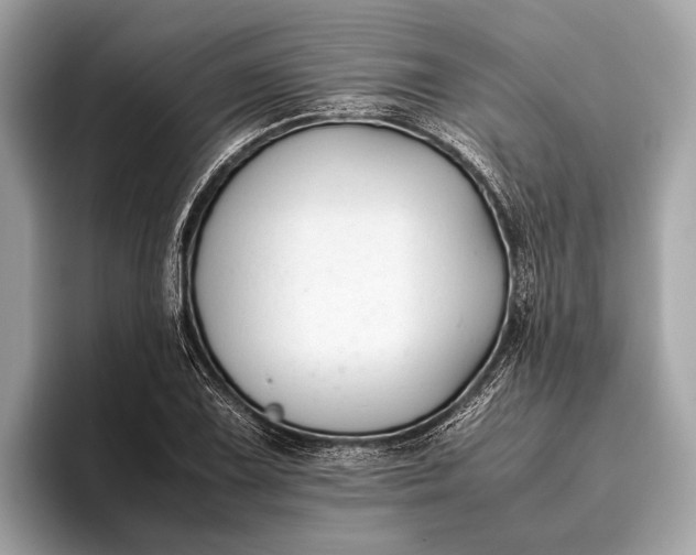 X0000095911075200801251005