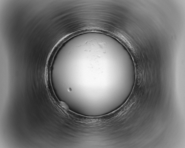 X0000095911076200801251005