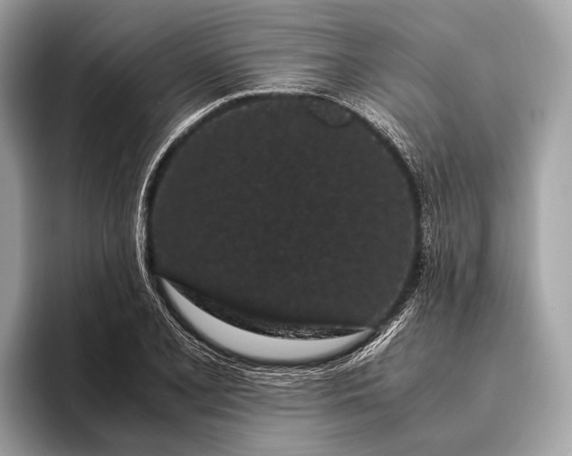 X0000095911077200801251005