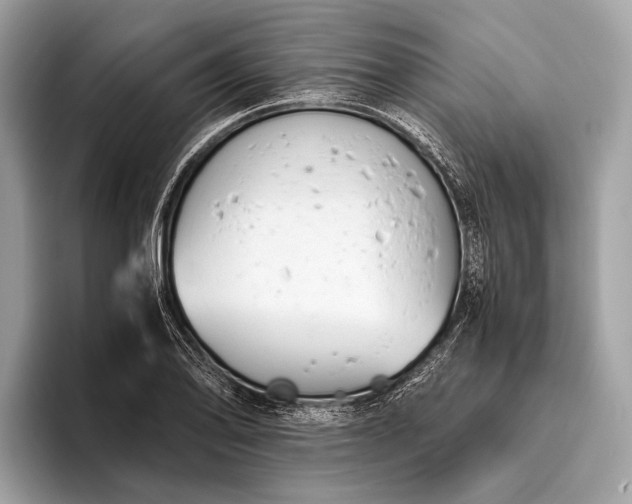 X0000095911078200801251005