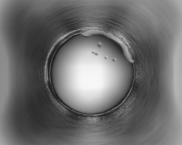 X0000095911080200801251005